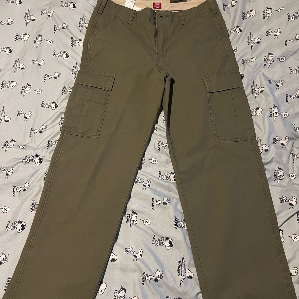 NWT Levi's Green Cargo Pants